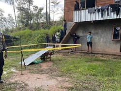 Heboh Anjing Makan Potongan Tubuh Bayi di Toraja, Polisi Turun Tangan