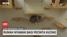 VIDEO: Rumah Nyaman Bagi Pecinta Kucing - CNN Indonesia Living