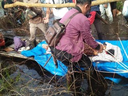 Geger Petani Bengkalis Ditemukan Tewas Tanpa Kepala di Hutan