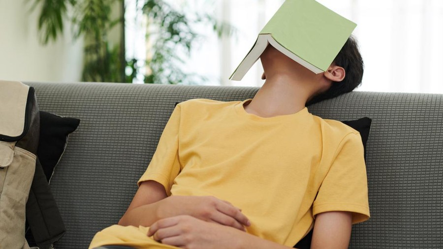 Teenage boy fell asleep on sofa in living room with opened book on his face