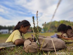 Gerakan Lisu Massikola di Bone, 10.513 Anak Putus Sekolah Kembali Bersekolah