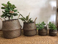 Siapa Sangka, Tikar hingga Tas Cantik Bisa Dibuat dari Rumput Purun
