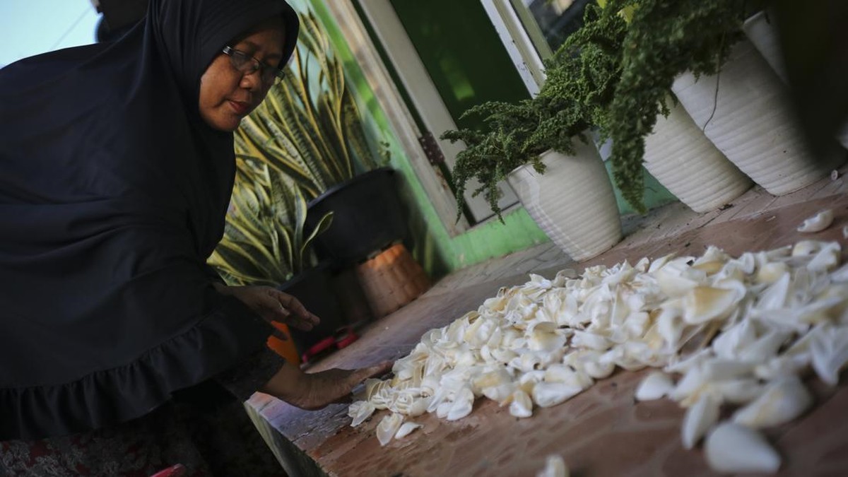 FOTO: Cangkang Gonggong Jadi Sumber Rezeki Perajin Batam