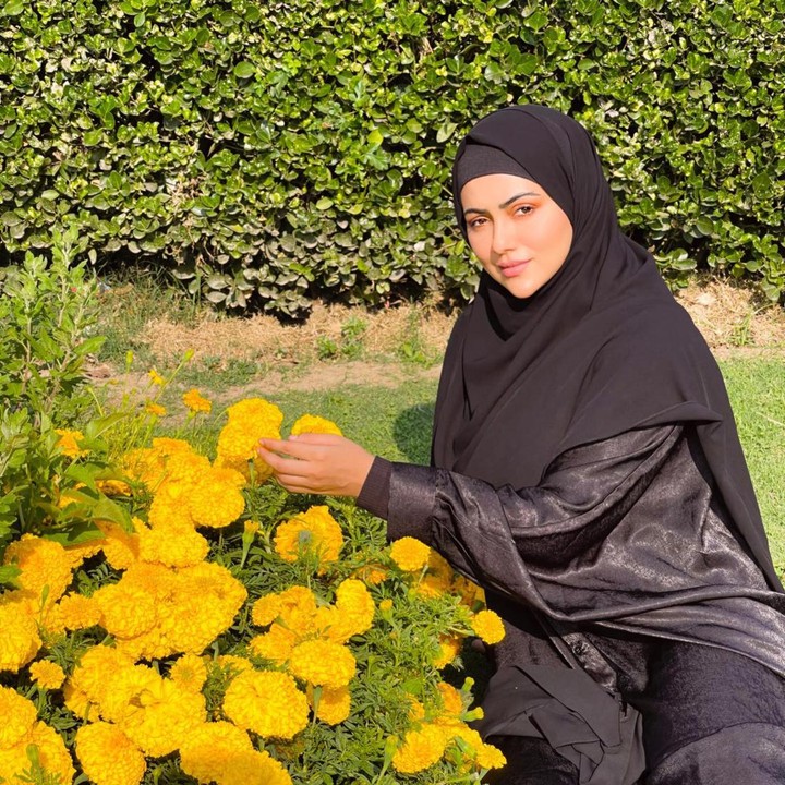 <p>Sejak menikah, bintang film <em>Jai Ho</em> itu menjalani keputusannya dengan serius. Ia telah berkomitmen untuk berhijrah dan tidak lagi aktif di dunia hiburan. Ia juga mulai mengenakan hijab, Bunda. (Foto: Instagram @sanakhaan21)</p>