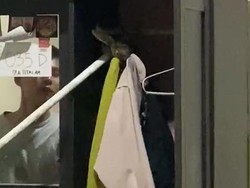 Hiii...! Ada Ular Sanca 1 Meter di Dalam Lemari Pakaian Warga Cianjur