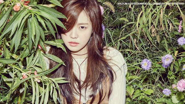 Son Naeun resmi keluar dari Apink jelang perayaan hari jadi grup tersebut yang ke-11. 
