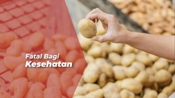 Ini Cara Simpan Kentang yang Benar Agar Tak Membahayakan