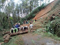 Lahan Pohon Pinus di Banyusidi Magelang Longsor Tutup Jalan