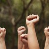 Demo Anti Imigran di Den Haag Rusuh, 30 Orang Ditangkap