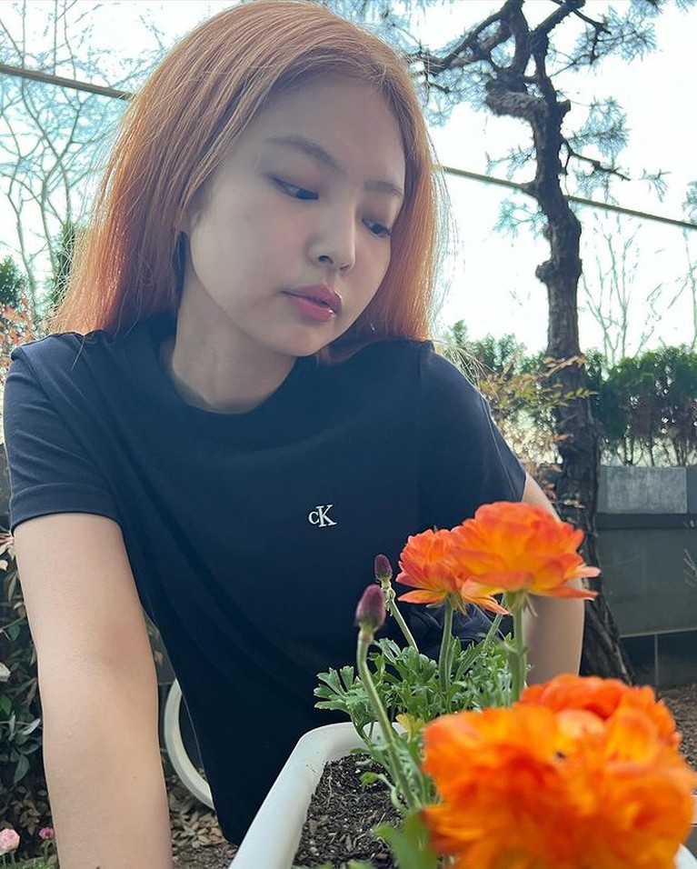 Jennie BLACKPINK Jennie BLACKPINK