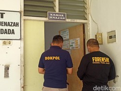 Autopsi Bayi Dimakan Anjing di Toraja Jadi Petunjuk Polisi Ungkap Pelaku