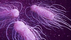 Ahli Ungkap Cara Bakteri Berjalan, Bukan Pakai Kaki