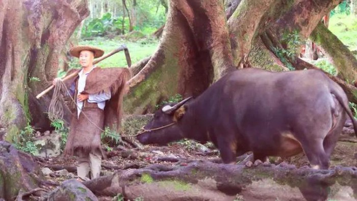 Viral! Di Cina Ada Desa Palsu yang Dibuat Demi Konten di Instagram, Content Creator Wajib ke Sini!