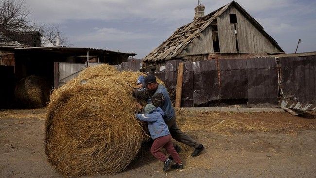 Rusia menangguhkan pasokan gandum untuk jangka waktu yang tidak terbatas.