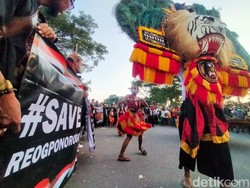 Perjuangan Pembarong Angkat Dadak Merak sampai Gigi Patah