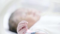 <p>Arti nama anak kedua Fitrop ini penuh makna lho. Kamya berarti cantik dan beruntung, Aisa artinya makmur, dan Hanara adalah gabungan nama belakang mama ayah Fitrop yang berarti kehormatan, kemuliaan, dan kebanggaan. (Foto: Instagram @dierabachir)</p>