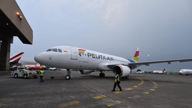 Menteri BUMN Erick Thohir menyebut pemerintah mengintervensi harga tiket penerbangan yang saat ini melonjak dengan menghadirkan Pelita Air.