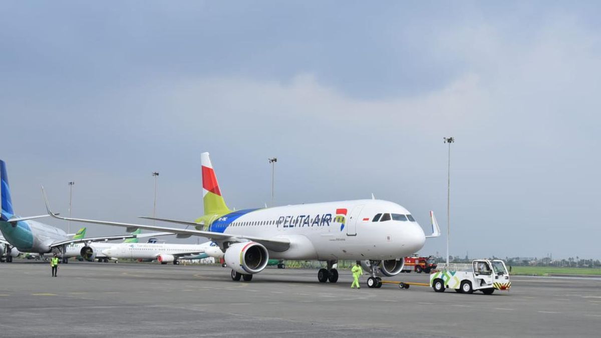 Pelita Air Tebar Diskon Tiket hingga Rp360 Ribu ke Semua Rute Domestik
