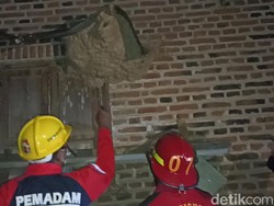 Hiii...Damkar Trenggalek Evakuasi Sarang Tawon Vespa Raksasa
