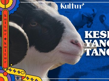 KULTUR: KESENIAN DOMBA GARUT, SENI YANG TANGKAS!