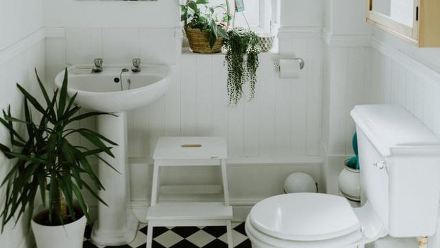 ilustrasi toilet
