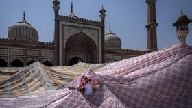 Kronologi Politikus India Hina Nabi Muhammad