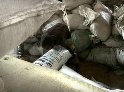 Ketika Limbah Pertanian Disulap Jadi Pupuk Organik yang Kaya Manfaat