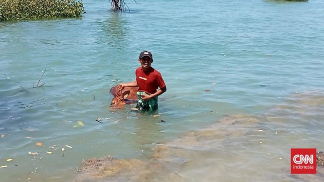 Warga pesisir di Kabupaten Sampang, Jawa Timur, digegerkan dengan penemuan puluhan bangkai sapi mengambang di sekitar pantai pada Kamis (14/4).