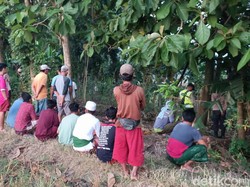 Anggota DPRD Bojonegoro Ditemukan Tewas Gantung Diri di Pohon Nangka