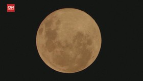 VIDEO: Fenomena Pink Moon Terlihat di Chile