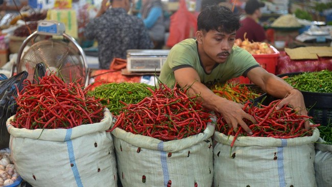 Mayoritas harga pangan di seluruh pasar tradisional Indonesia turun pada awal pekan ini, Senin (23/1). Beberapa di antaranya beras, telur, hingga cabai.
