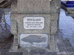 Ini Peninggalan Mbah Mudjair Penemu Ikan Mujair Asal Blitar