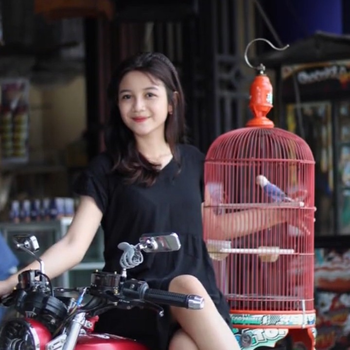 <p>Nonni kerap melakukan sesi pemotretan bersama burung-burung peliharaannya, nih. (Foto: TikTok @nonnindahh1)</p>