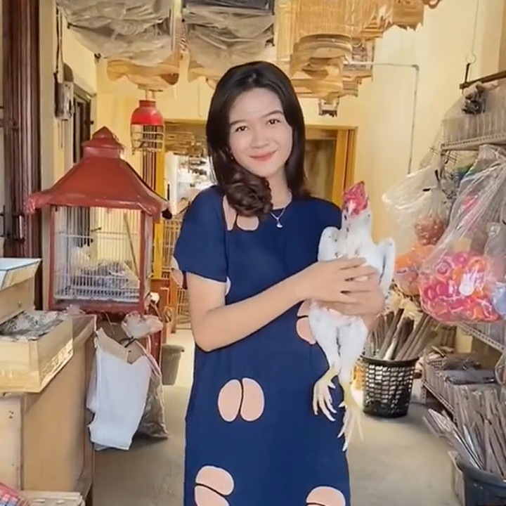 <p>Nonni merawat berbagai macam unggas mulai dari burung murai, lovebird, hingga ayam jago. (Foto: TikTok @nonnindahh1)</p>