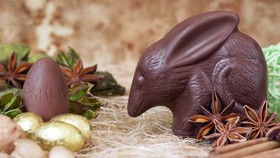 Bilby, Kelinci Paskah Australia yang Terancam Punah
