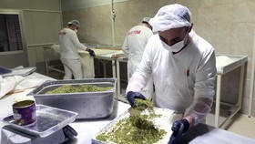 FOTO: Baklava, Tradisi Kue Manis Penanda Akhir 30 Hari Puasa di Turki