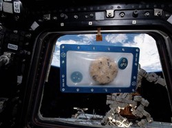 Melihat Bekal Makanan Para Astronaut di Pesawat Tianzhou-4