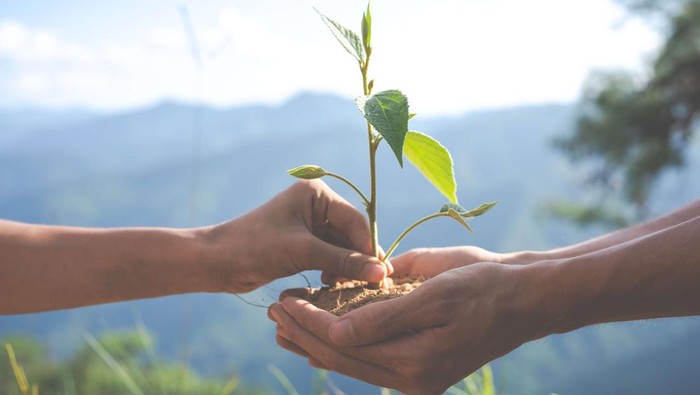 Usia Bumi Semakin Tua, Ini 6 Cara Mudah yang Bisa Dilakukan Anak Muda untuk Selamatkan Bumi