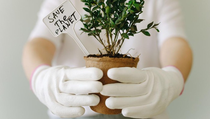 8 Kebiasaan Kecil Sehari-hari Untuk Bantu Lestarikan Bumi, Yuk Mulai Terapkan, Beauties!