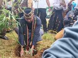 Jokowi Rencana Bangun Pabrik Bambu di Ngada NTT