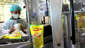 Profil Permata Hijau Group yang Terseret Dugaan Korupsi CPO