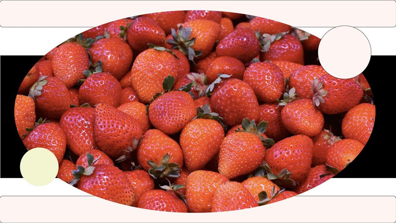 Kata Gen Z Mengenai Strawberry Generation
