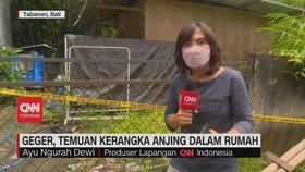 VIDEO: Temuan  Kasus Penelantaran Anjing Hingga Tewas