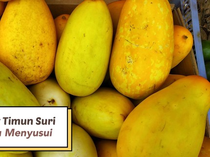 7 Manfaat Timun Suri untuk Ibu Menyusui