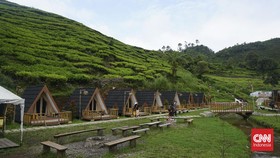 Mau Wisata ke Ciwidey Bandung? Catat Akses Transportasi Menuju ke Sana