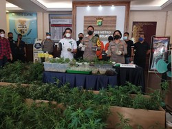Belajar Lewat YouTube, 2 Pria Tanam Ganja Hidroponik di Apartemen Bekasi