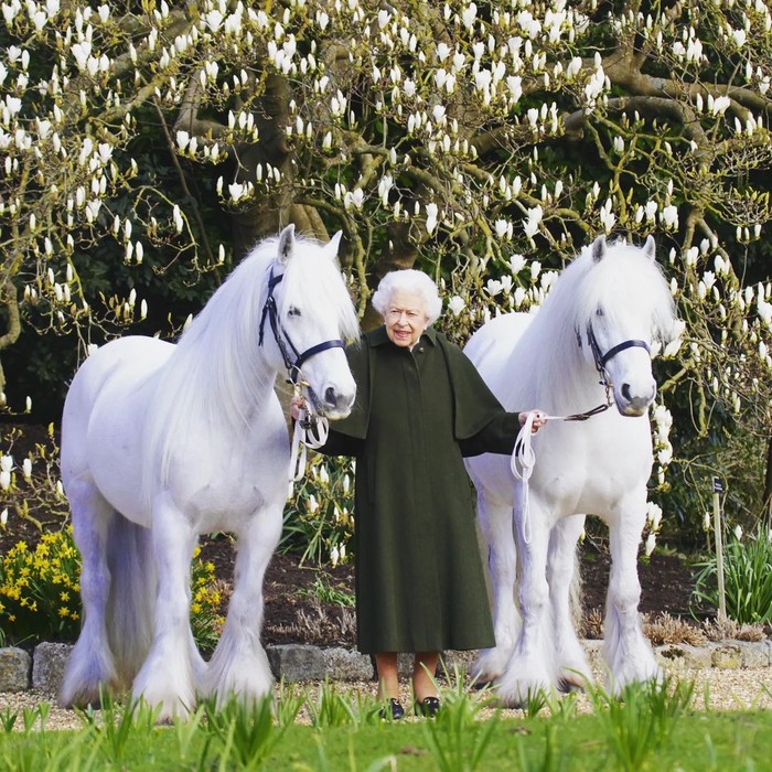 Menyambut hari ulang tahunnya yang ke-96, istana merilis potret resmi terbaru di mana Ratu Elizabeth II terlihat elegan memakai gaun hitam bersama kedua kuda poninya, Bybeck Katie dan Bybeck Nightingale. Foto: Instagram theroyalfamily