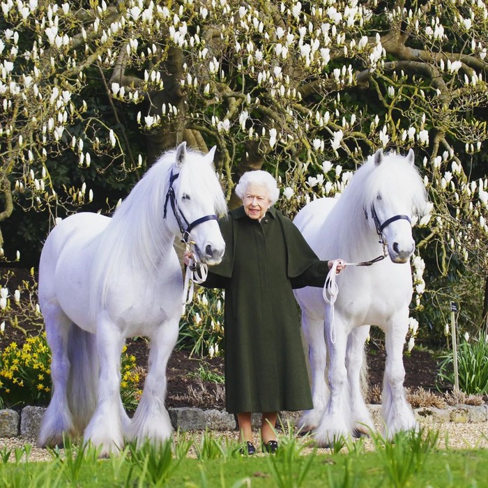 Menyambut hari ulang tahunnya yang ke-96, istana merilis potret resmi terbaru di mana Ratu Elizabeth II terlihat elegan memakai gaun hitam bersama kedua kuda poninya, Bybeck Katie dan Bybeck Nightingale. Foto: Instagram theroyalfamily