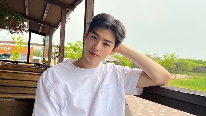 Cha Eun Woo