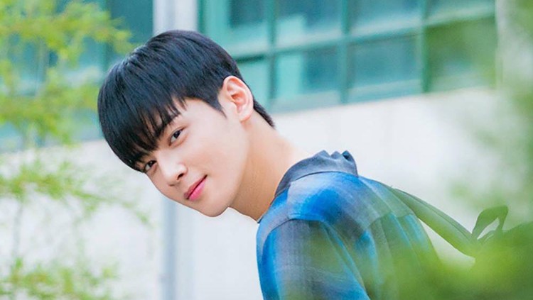 Cha Eun Woo di Drama Korea Gangnam Beauty